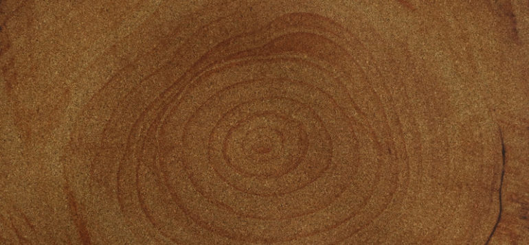 Пробковое покрытие Ring rang